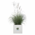 Comprar Jardinera elho vivo next square 30 - blanco - Ø 30 x h 29 cm - interior/exterior - 100% reciclado