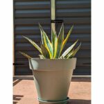 Comprar Jardinera redonda riviera soleilla - plástico - diámetro 50 cm - verde arcilla