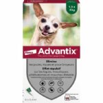 Comprar Pipetas antiparasitarias advantix 6: para perros muy pequeños de 1