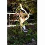 Comprar Proyector galix de acero inoxidable cepillado con energía solar - 0.29 w