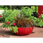 Comprar Riviera - cortamacetas - granito d40 - rojo