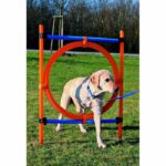 Comprar Trixie aro agility para perros 115 x 3cm plástico