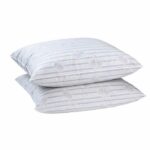 Comprar Blanreve juego de 2 almohadas de plumas - 60x60 cm