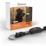 Comprar Collar gps para perros - weenect dog xt - antena xl - resistente al agua - collar julius-k9 - funciona con suscripción - negro