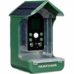 Comprar Comedero/bebedero para pájaros con cámara integrada - num'axes - cam1074 - 120° - verde