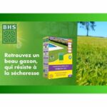 Comprar Césped - bhs - regenerador de césped 1 kg