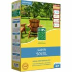 Comprar Césped - bhs - sun lawn 1kg | resistente al clima mediterráneo y a la sequía.