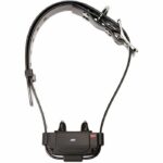 Comprar Collar antiescape - num'axes - canifugue fug1034 - negro