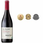 Comprar Les accords de roche mazet 2022 syrah & marselan pays d'oc - vino tinto del languedoc