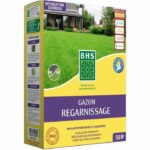 Comprar Reposición de suelo seco para césped - bhs - 3 kg | 150 m² | fuerte y duradero