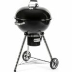 Comprar Barbacoa de carbón - fieldmann - fzg 1016