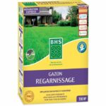 Comprar Césped - bhs - regenerador de césped 3 kg