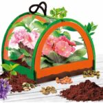 experimentos botánicos