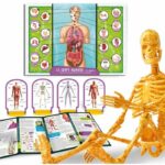 Comprar Descubrimiento del cuerpo humano - kit científico - i'm a genius pocket - modelo 3d