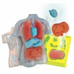 Comprar Mini laboratorio de anatomía clementoni