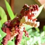 Comprar Nanoblock - nbm-031 - nanoblock tyrannosaurus rex - edición deluxe