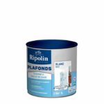 Comprar Pintura para techos de cocina y baño - blanco mate - ripolin - 1l