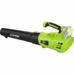 Comprar Soplador de hojas inalámbrico - fieldmann - fzf 70605-0