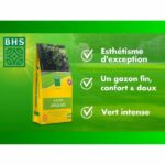 Comprar Césped inglés - bhs - 10 kg para jardines de alta gama