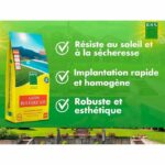 Comprar Césped rústico bhs capacidad 10 kg