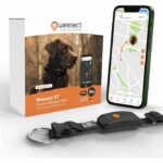 Comprar Collar gps para perros - weenect dog xt - antena xl - resistente al agua - collar julius-k9 - funciona con suscripción - negro