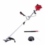 Comprar Desbrozadora térmica bch2500pb