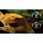 Comprar Higrómetro analógico para terrario - exo terra