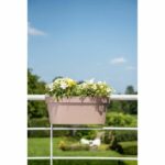 Comprar Jardinera+gancho - garden id star - taupe 50 x 21 cm - fácil fijación - reserva de agua - reciclado y 100% reciclable