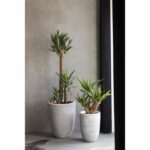 Comprar Maceta baja elegante - capi europe - rib nl - 46 x 58 cm - marfil