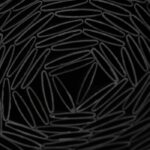 Comprar Pantalla de caña de pvc de doble cara - nature - 1 x 3 m - 1600 g/m² - opaca 4/5 - anti-uv - antracita