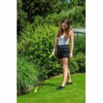 6 v iones de litio (li-ion)