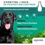 Comprar Vetocanis 4 pipetas anti-pulgas y anti-garrapatas - para perros grandes 20-40 kg - 2x 1 mes de protección