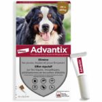 Comprar Advantix 4 pipetas antiparasitarias - para perros muy grandes de 40 a 60 kg - 4 x 6 ml