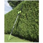 Comprar Cortasetos eléctrico - fieldmann - fzn 6005-e - 450 w - 46 cm - mango telescópico 190-250 cm