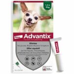 Comprar Pipetas antiparasitarias advantix 4: para perros muy pequeños de 1