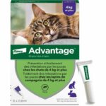 Comprar Ventaja 80 - 6 pipetas antiparasitarias - para gatos y conejos de 4 kg y más