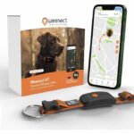 Comprar Collar gps para perros - weenect dog xt - antena xl - resistente al agua - collar julius-k9 - funciona con suscripción - naranja