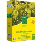 Comprar Fertilizantes verdes - bhs - mostaza blanca 500g | 100 m² | mejora y desinfecta los suelos para una mejor fertilidad.