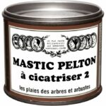 Comprar Masilla curativa pelton - 195 g