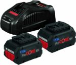 Comprar Paquete de 2x5.5ah procore 18v en caja de cartón - bosch - 1600a0214c