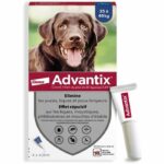 Comprar Pipetas antiparasitarias advantix 4: para perros grandes de más de 25 kg