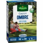 Comprar Semillas de césped de sombra vilmorin - 1 kg