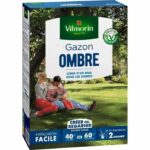 Comprar Semillas de césped de sombra vilmorin - 1 kg