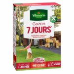 Comprar Semillas de césped vilmorin - 7 días - caja de 1kg - primeros brotes ultrarrápidos