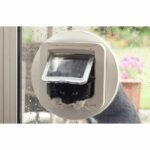 Comprar Sureflap dualscan chatiere con chip electrónico blanco