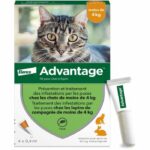 Comprar Ventaja 40 - 4 pipetas antiparasitarias - para gatos y conejos de menos de 4 kg