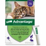 Comprar Ventaja 80 - 4 pipetas antiparasitarias - para gatos y conejos de 4 kg y más