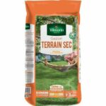 Comprar Vilmorin semillas de césped resistente para secano - 5 kg