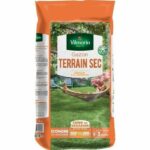 Comprar Vilmorin semillas de césped resistente para secano - 5 kg