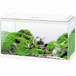 Comprar Acuario 60 - ciano - 58 l + filtro + led + calentador + consumibles - blanco